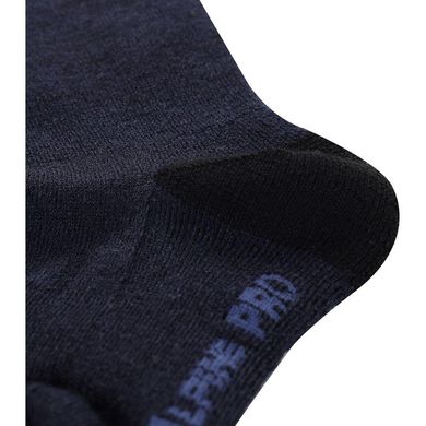 Шкарпетки Alpine Pro Phalte L сині