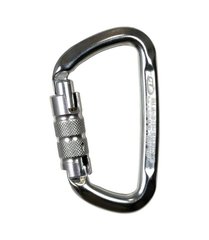 Карабін Climbing Technology D-Shape TG (silver) silver