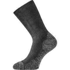 Шкарпетки Lasting WSM M сірі