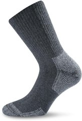 Шкарпетки Lasting KNT M сірі