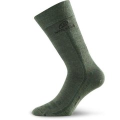 Шкарпетки Lasting WLS M зелені