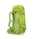 Рюкзак Gregory Alpinisto 35 Lichen green