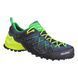 Кросівки Salewa MS Wildfire Edge 46 чоловічі сині