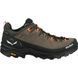 Кроссовки Salewa Alp Trainer 2 GTX Mns 44.5 мужские коричневые