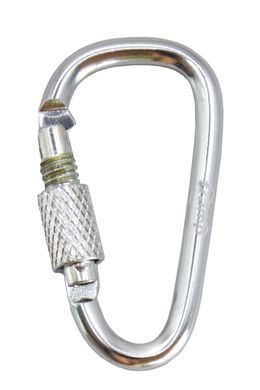 Набор карабинов алюминиевых сувенирных Tramp 10 шт. 5 см с муфтой silver UTRA-299