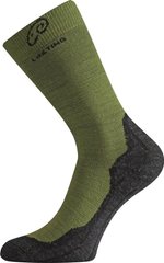 Шкарпетки Lasting WHI XL зелені/сірі