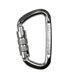 Карабин Climbing Technology D-Shape TG (silver) silver