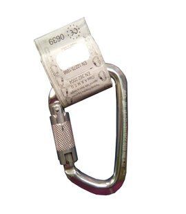Карабін Climbing Technology Large WG (Полірований) silver