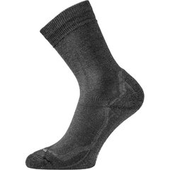 Шкарпетки Lasting WHI XL сірі