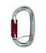 Карабін Climbing Technology Pillar Pro TGL grey