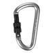 Карабин Salewa D-Shape Carbiner with screw