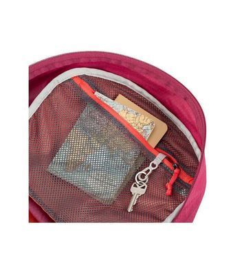 Рюкзак Gregory Sula 24 Plum red