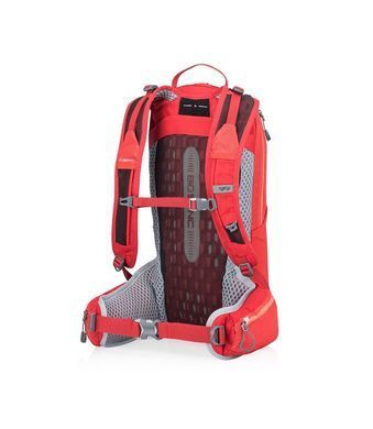 Рюкзак Gregory Maya 10 Poppy red