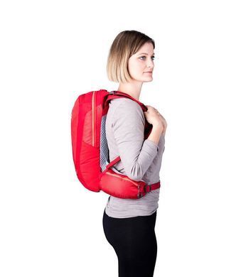 Рюкзак Gregory Maya 10 Poppy red