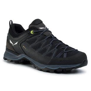 Кросівки Salewa MS MTN Trainer Lite GTX 46 чоловічі чорні