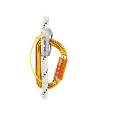 Карабін Petzl SM'D Triact-Lock gold