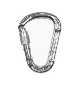 Карабін Climbing Tehcnology Concept HMS SG Silver silver/colour gate