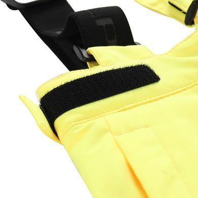 Штани Alpine Pro Lermon L чоловічі сині